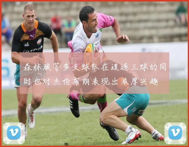森林狼等多支球队在追逐三球的同时也对杰伦布朗表现出浓厚兴趣