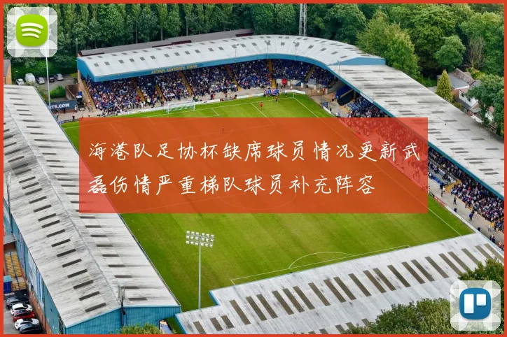 海港队足协杯缺席球员情况更新武磊伤情严重梯队球员补充阵容