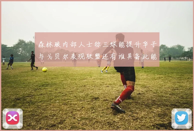 森林狼内部人士称三球能提升华子与戈贝尔表现联盟还有谁具备此能力