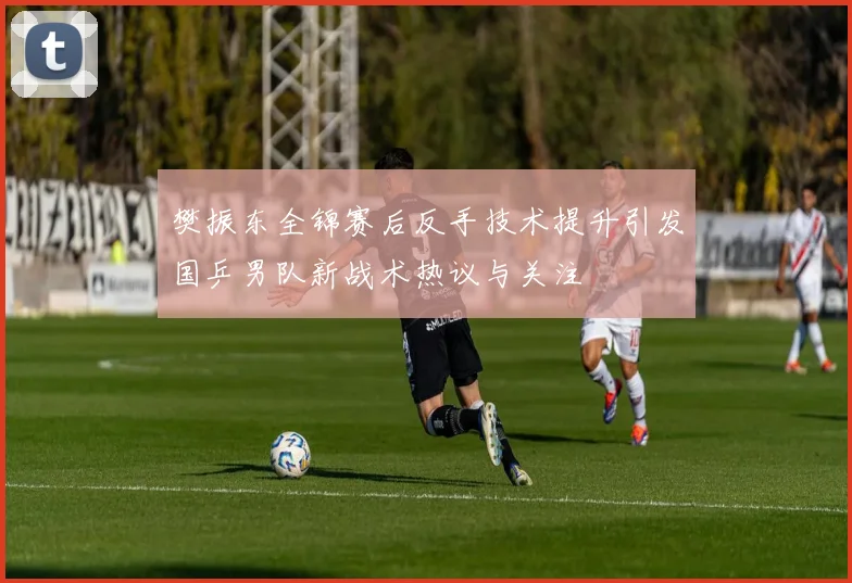 樊振东全锦赛后反手技术提升引发国乒男队新战术热议与关注