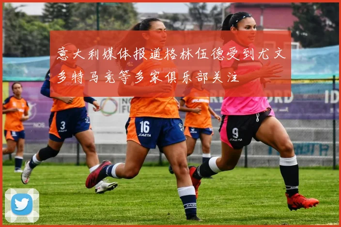 意大利媒体报道格林伍德受到尤文多特马竞等多家俱乐部关注